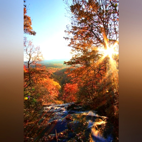 🌿 Meet Me  🌿 - Picture 11 of 16